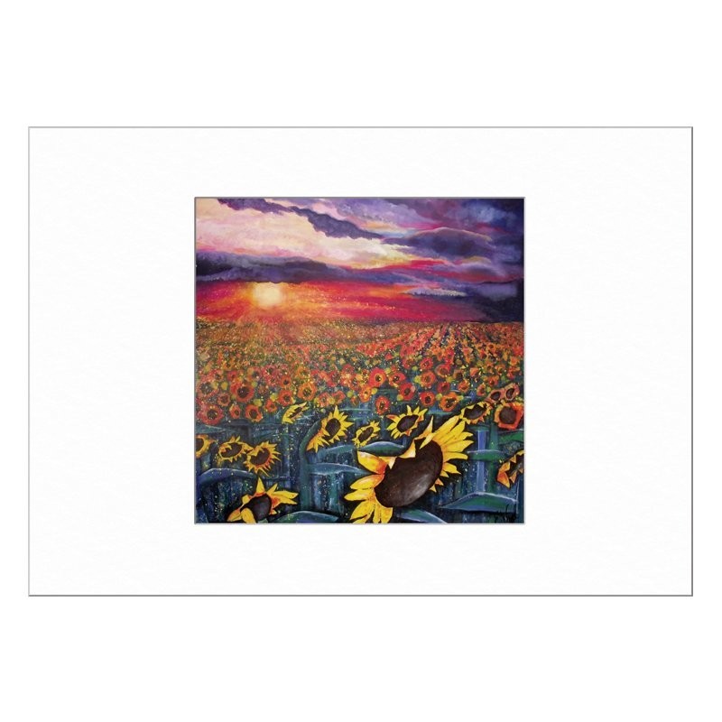 Sun on Sunflowers Limited Edition Print with Mount